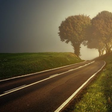 Misty countryside road surrounded by lush greenery and trees, ideal for nature-themed projects.