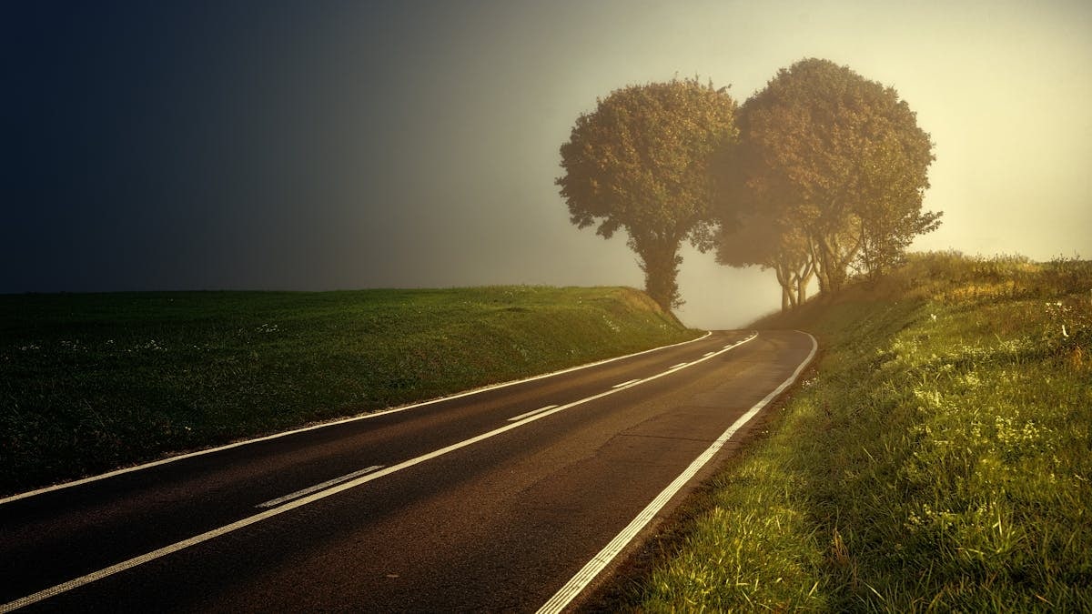 Misty countryside road surrounded by lush greenery and trees, ideal for nature-themed projects.